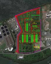 Gibson Island Green H2